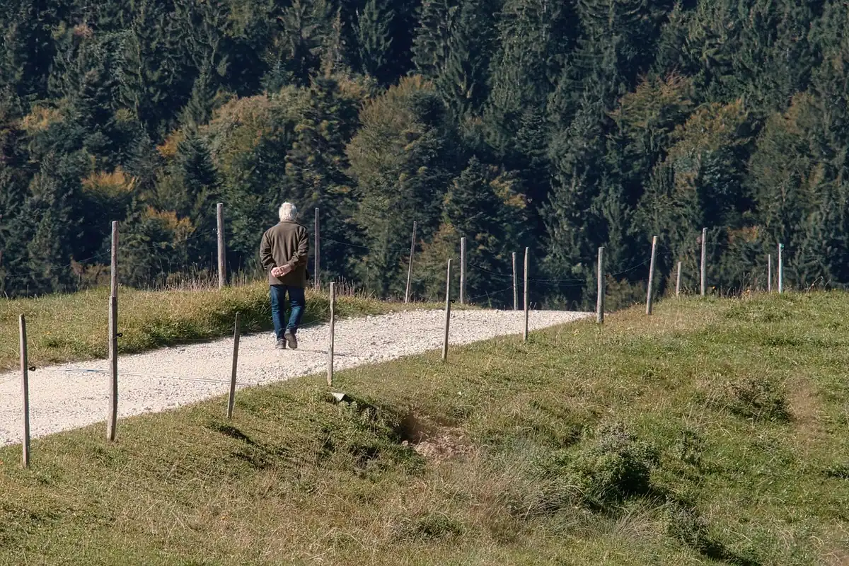 Persoană care merge pe o potecă din pădure toamna, pauză de relaxare pentru refacerea după epuizare